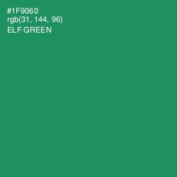 #1F9060 - Elf Green Color Image